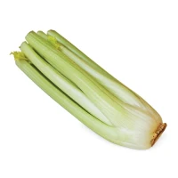 Сельдерей