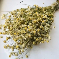 Ромашка полевая сушёная