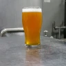американский пилзнер революшен (us pilsner revolution)
